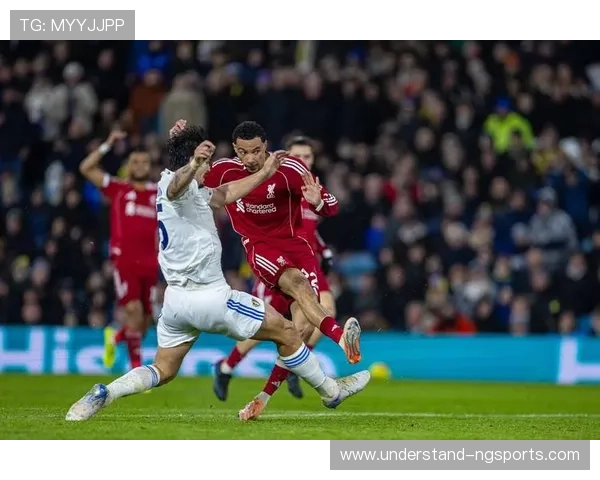 以利兹联队为核心探索英超崛起之路与未来发展潜力